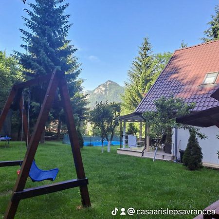 Готель Casa Aris Lepsa Vrancea Екстер'єр фото