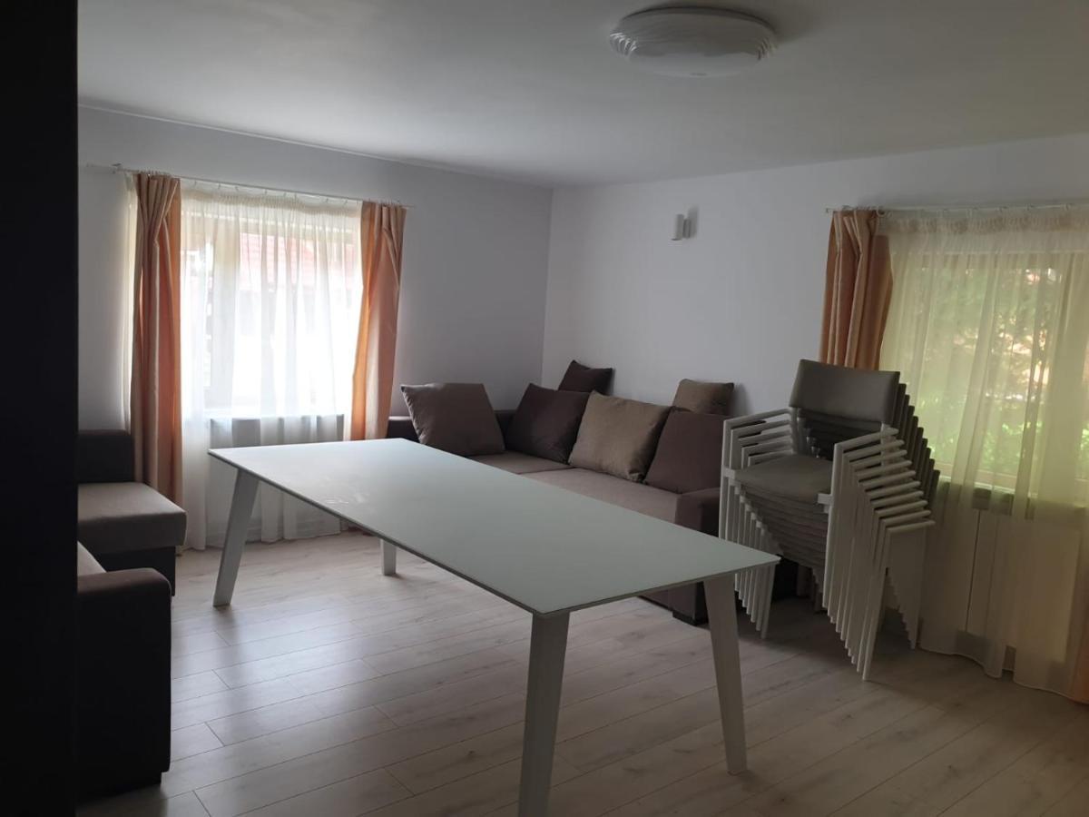 Готель Casa Aris Lepsa Vrancea Екстер'єр фото