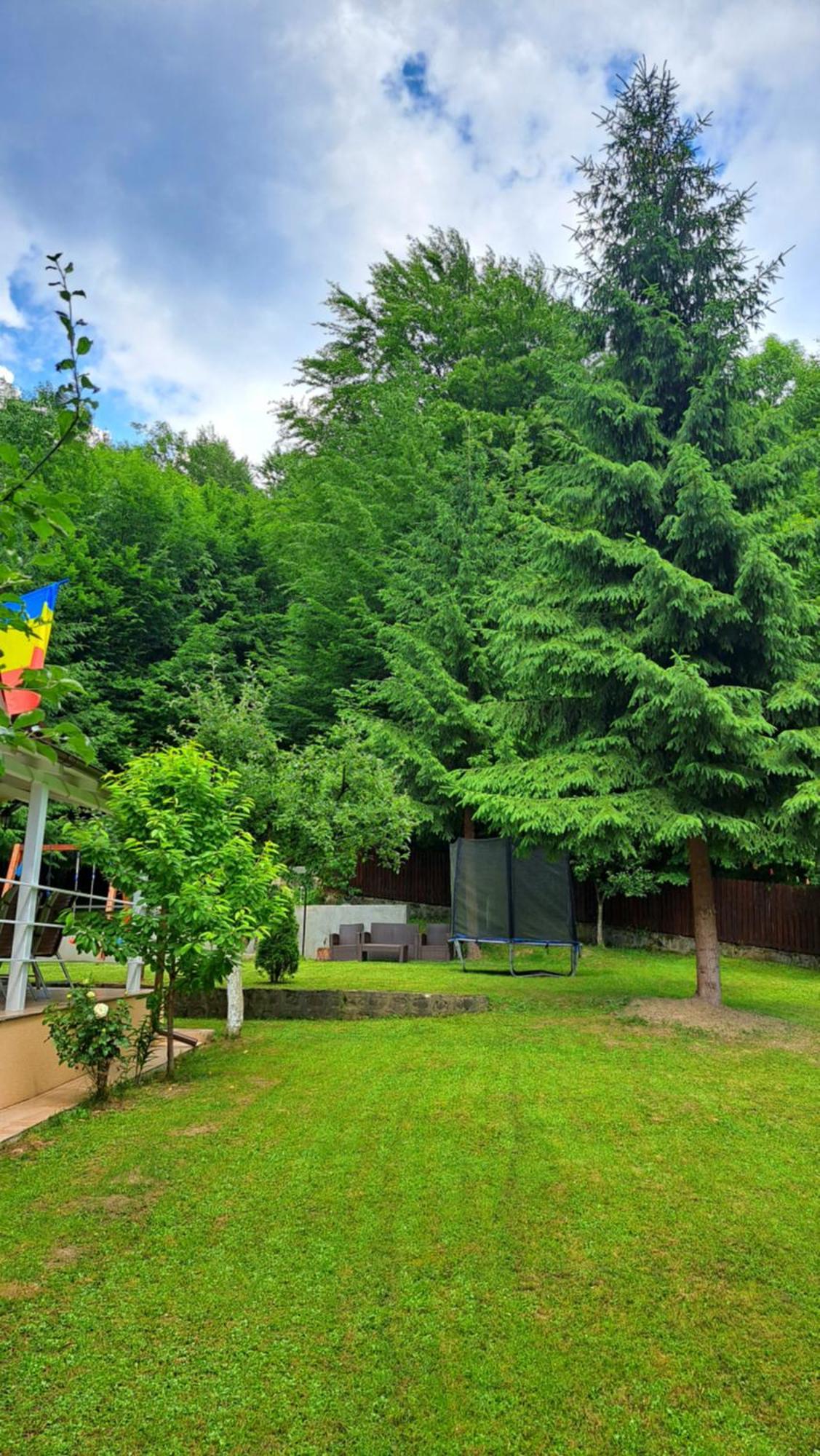 Готель Casa Aris Lepsa Vrancea Екстер'єр фото