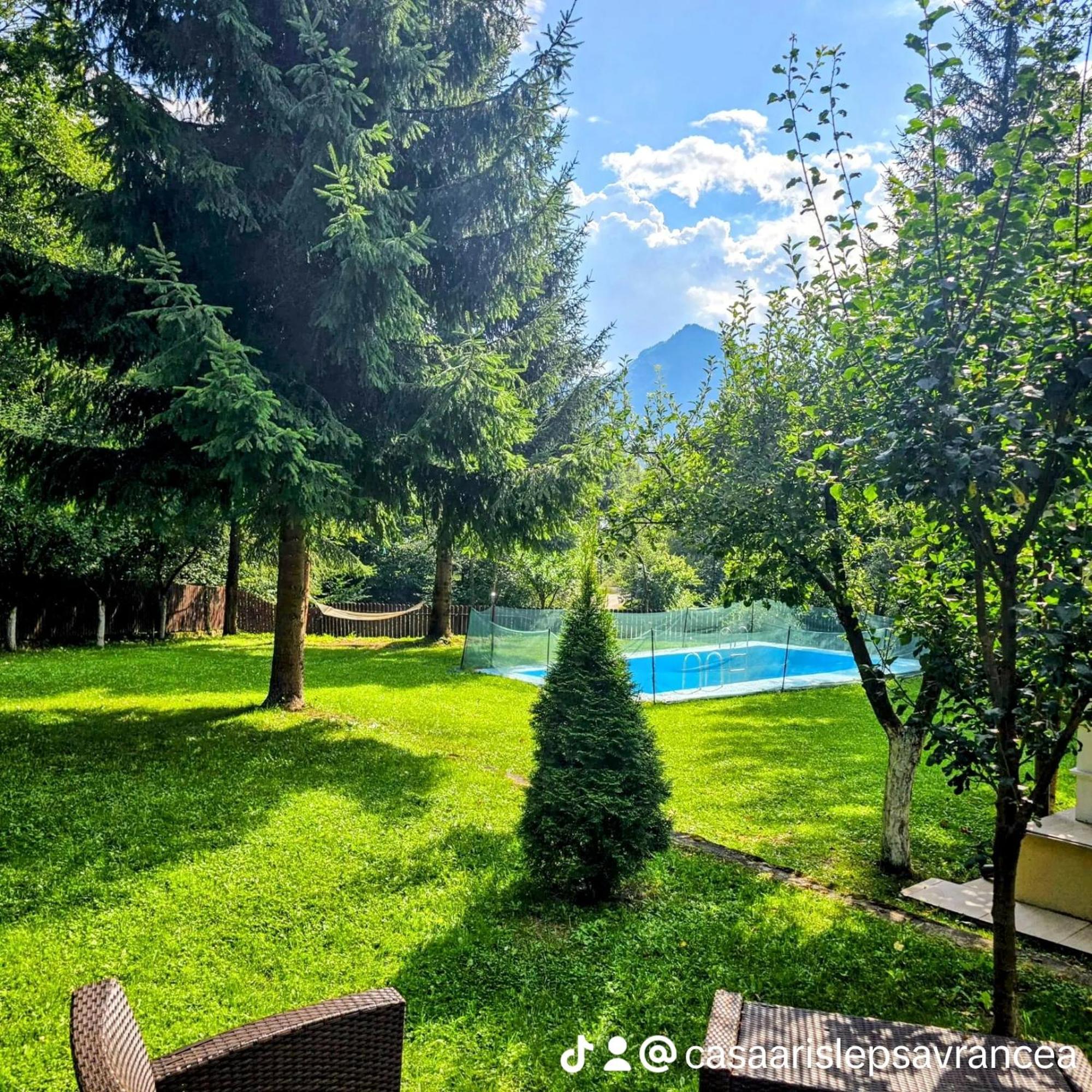 Готель Casa Aris Lepsa Vrancea Екстер'єр фото