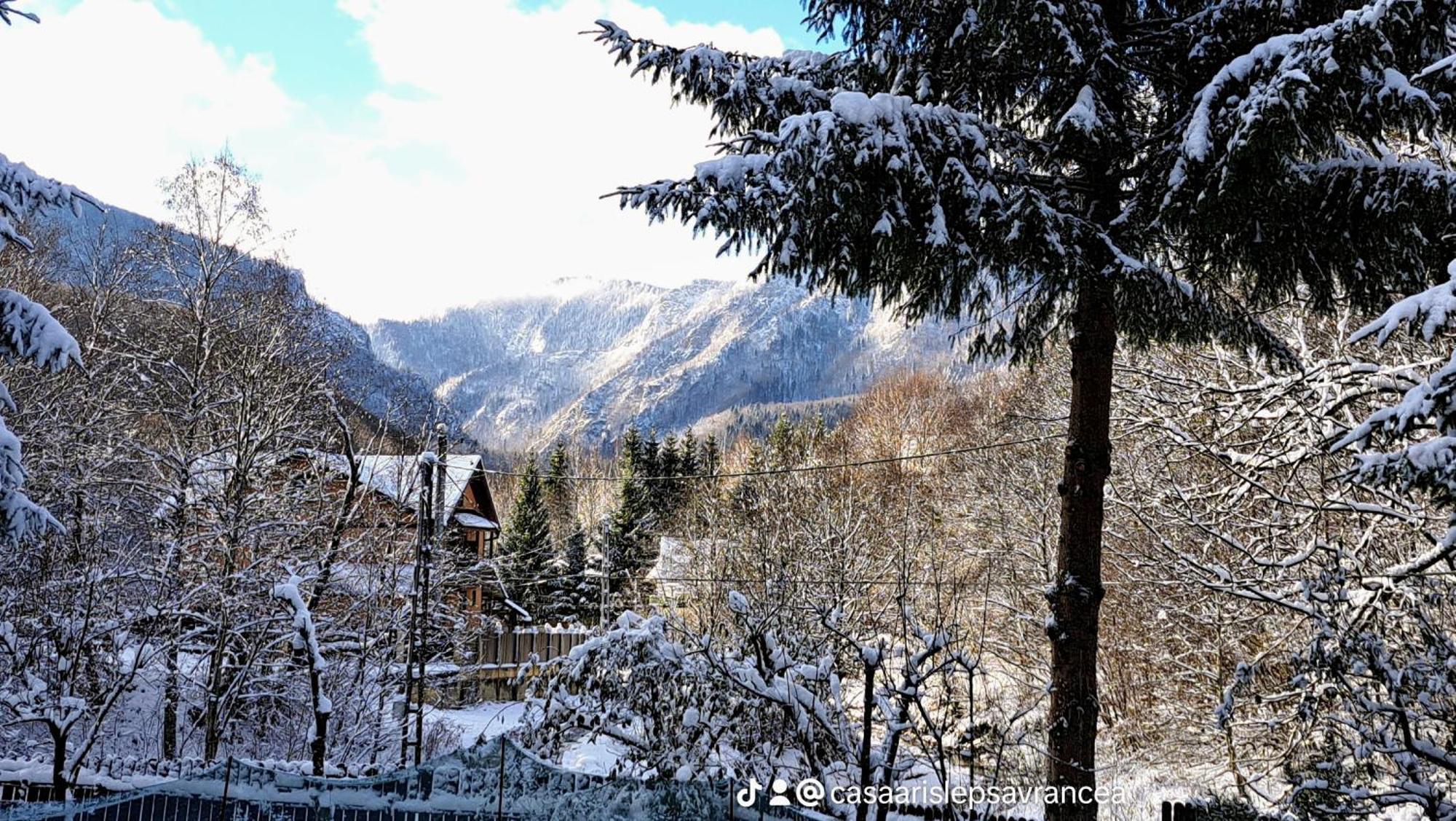 Готель Casa Aris Lepsa Vrancea Екстер'єр фото